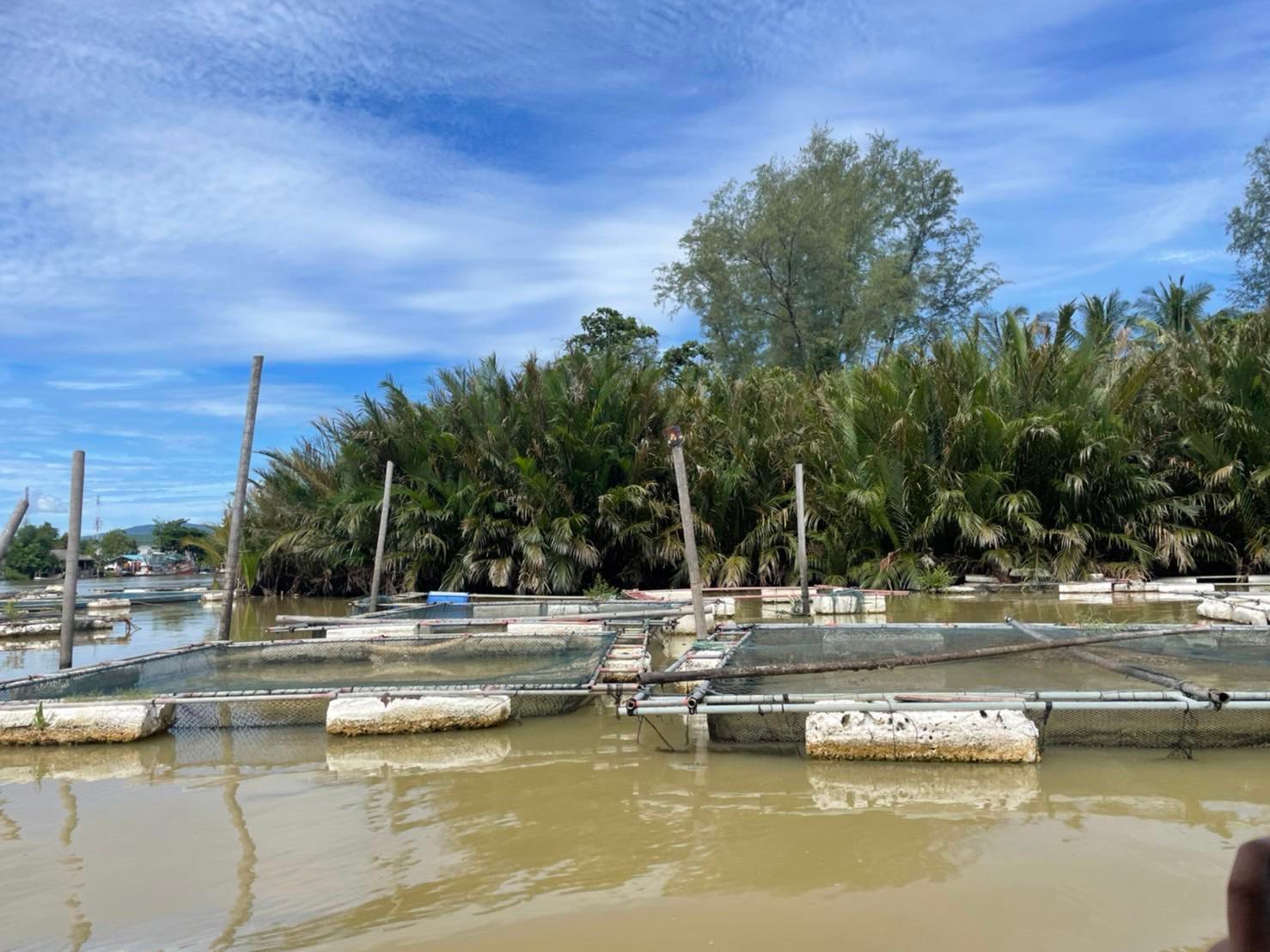 ลงพื้นที่สำรวจเส้นทาง แม่น้ำสายบุรี ”คุณค่า” ทางระบบนิเวศและวัฒนธรรม